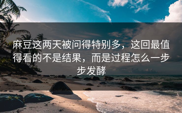 麻豆这两天被问得特别多，这回最值得看的不是结果，而是过程怎么一步步发酵