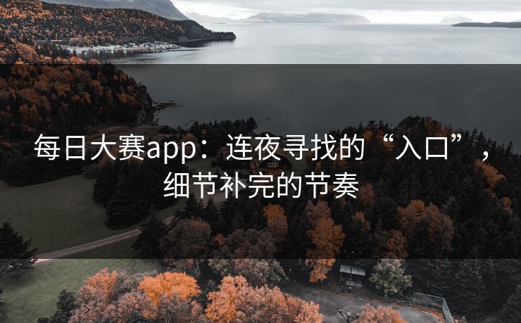 每日大赛app：连夜寻找的“入口”，细节补完的节奏
